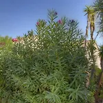Terrasse Sur La 20 בית נופש פורטו-וישיו